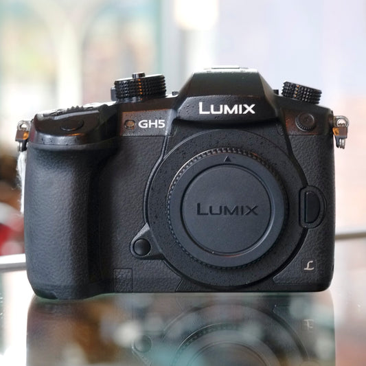 Panasonic Lumix GH5 (Full Spectrum Conversion)